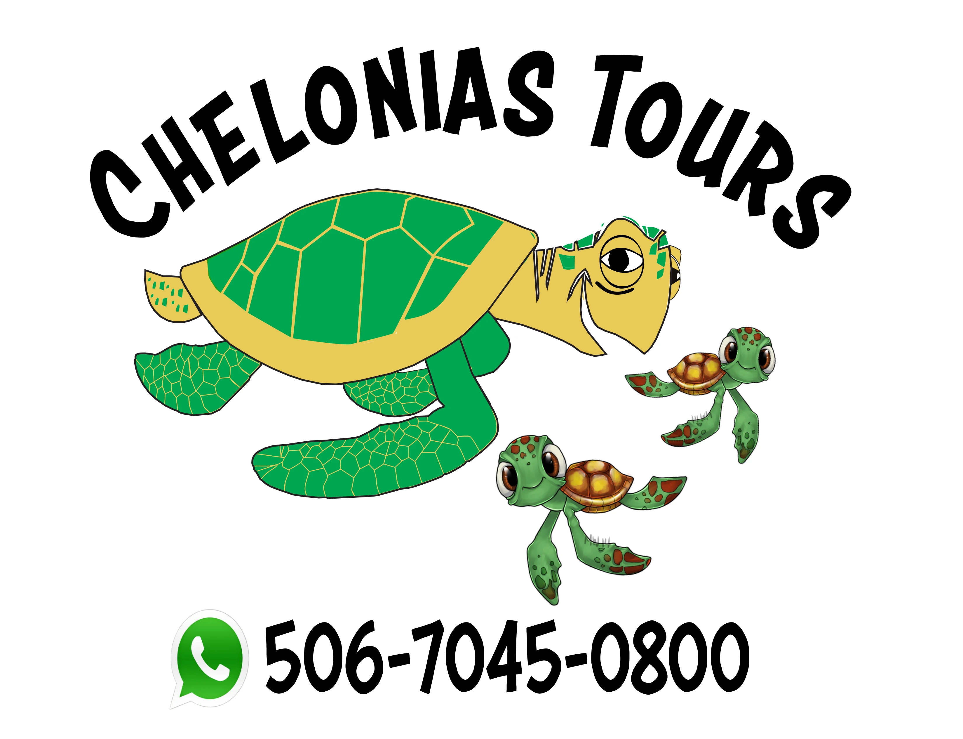 Tortuguero Chelonia Tours