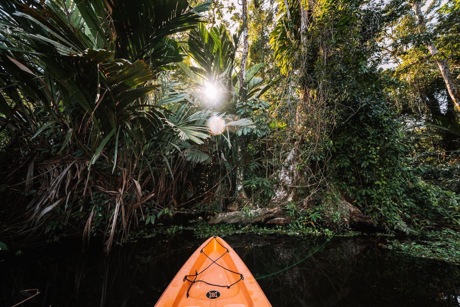 Kayak por los canales de Tortuguero