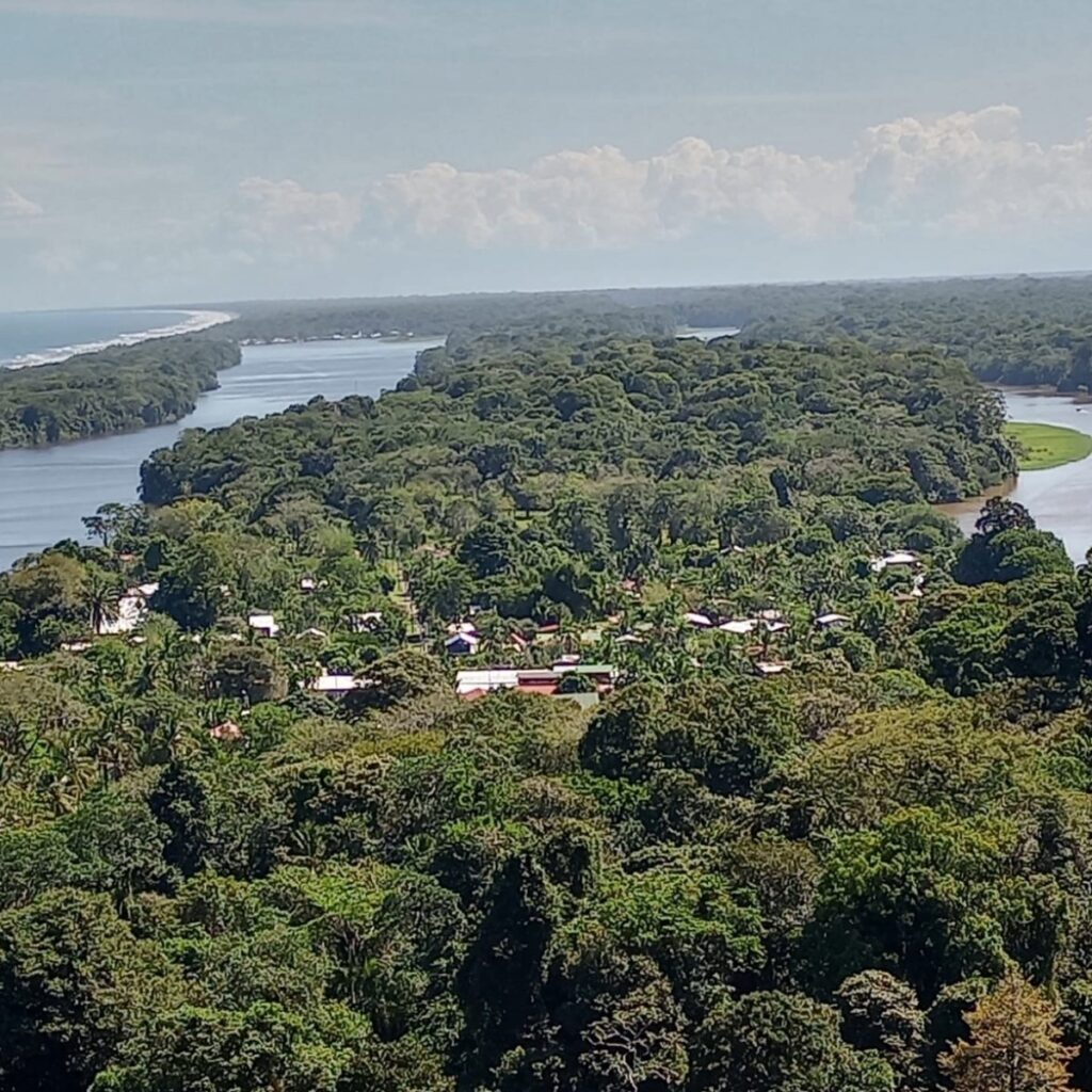 Proyecto Cambiar tamaño de imagen-2