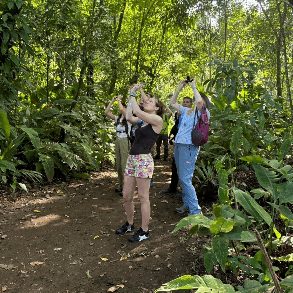Sendero del Jaguar_Tortuguero_5
