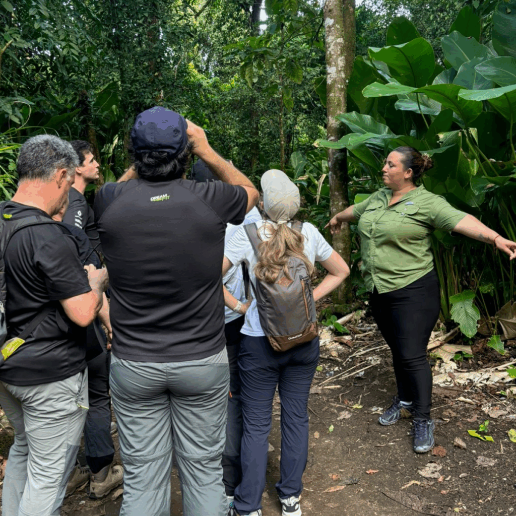 Sendero del Jaguar_Tortuguero_7