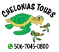 chelonia tours web